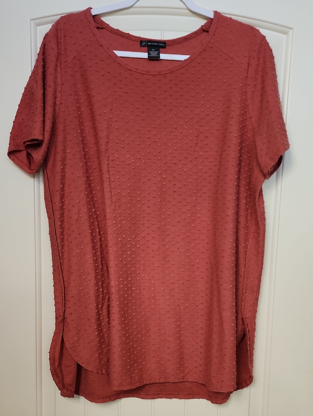 Adrianna Papell Rust Swiss Dot Short Sleeve Tunic